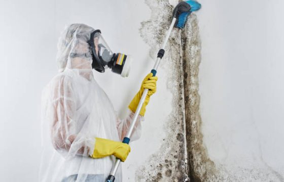 A professional disinfector in overalls processes the walls from mold with a brush. Removal of black fungus in the apartment and house. Aspergillus."n